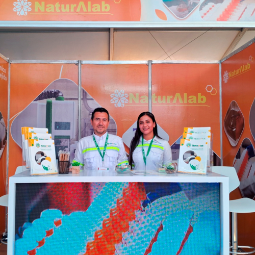 Nuestra experiencia en el primer día del IV Congreso Palmero CPAL 2023 «Transformando el entorno»