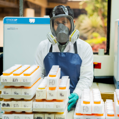 NaturAlab: nuestro laboratorio especializado en análisis de tejido vegetal para cultivos