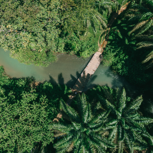 Las 3 claves para comprender la importancia del compromiso NDPE