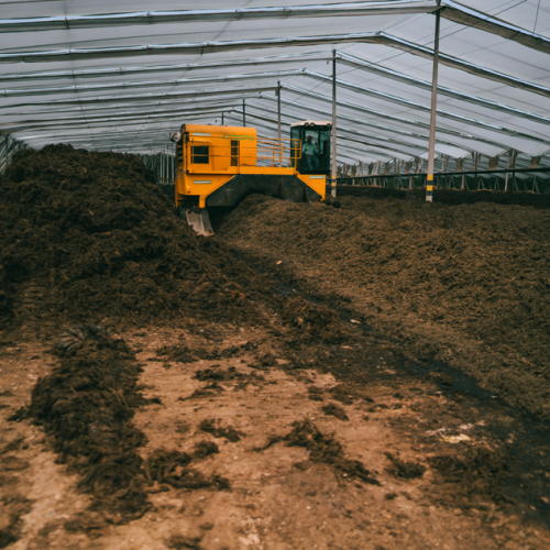 Desafíos globales, soluciones locales: trazándonos metas para un futuro sostenible