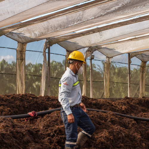 Innovación responsable para una productividad sostenible