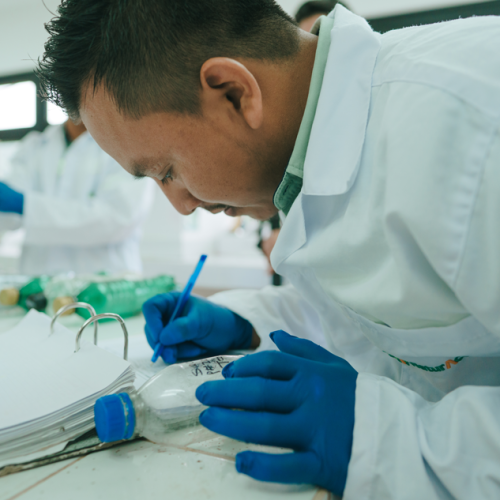 Cosechando datos para una palmicultura sostenible